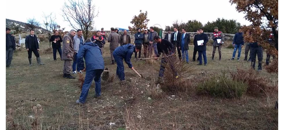 Şüpheli Mezar Boş Çıktı