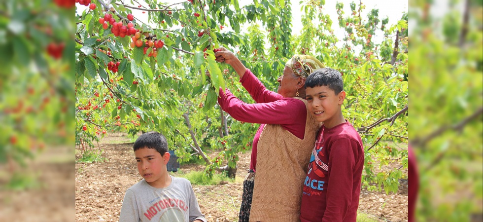 Çiftçiler geleceğe umutla bakmak istiyor