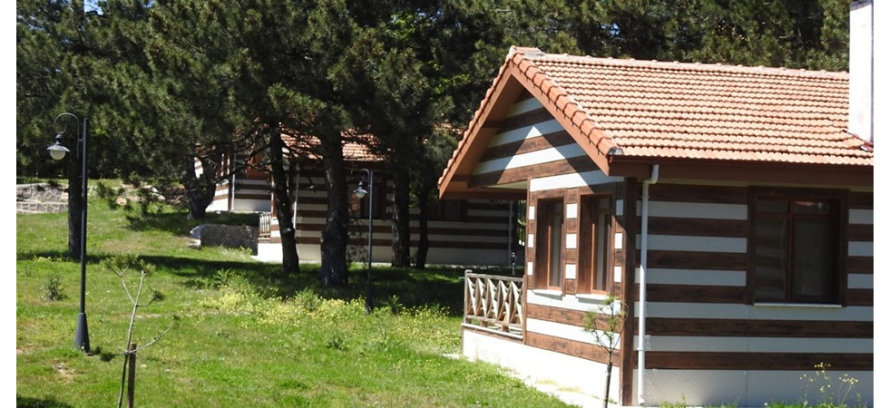 Spil yeniden ekonomiye kazandırılıyor