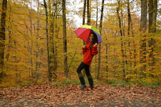 Manisalı Fotoğrafçılar Sonbaharın Renklerini Yedigöller’de Fotoğrafladı