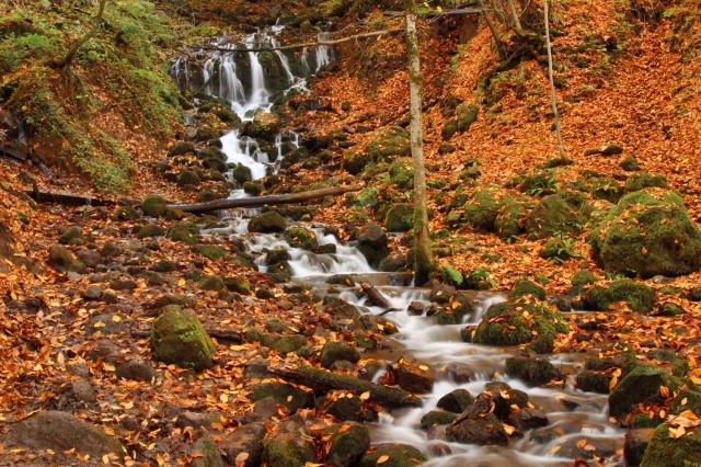 Manisalı Fotoğrafçılar Sonbaharın Renklerini Yedigöller’de Fotoğrafladı