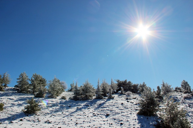 Spil Milli Parkı'ndan kar manzaraları