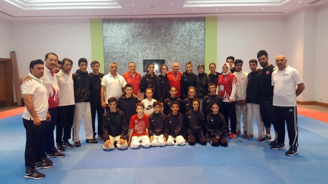 Dünya Taekwondo Şampiyonası