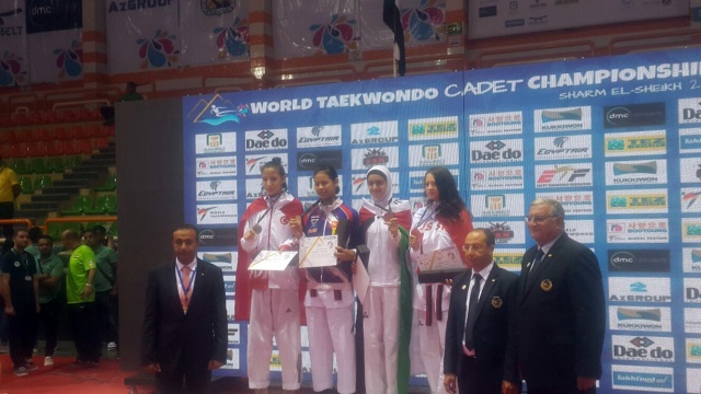 Dünya Taekwondo Şampiyonası