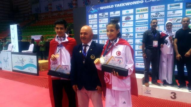 Dünya Taekwondo Şampiyonası