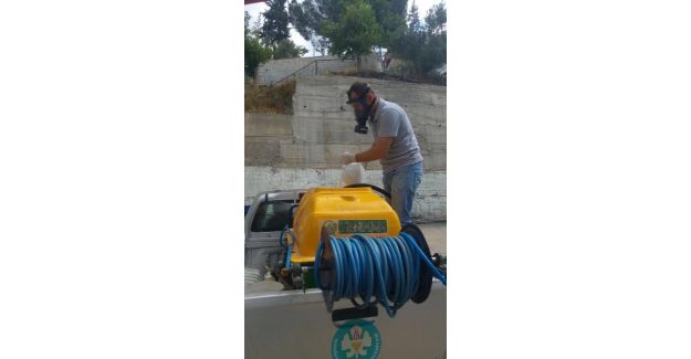 Büyükşehir, Afrika Hastalığı İle Savaşıyor