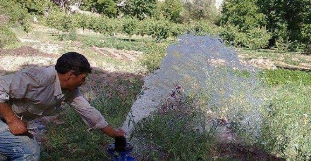 TARIM ÜRETİCİSİNİN GELİRİ ARTIYOR..