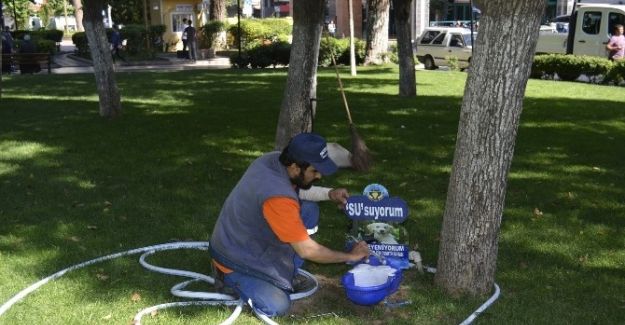 Turgutlu Belediyesi Sokak Hayvanları İçin Seferber Oldu