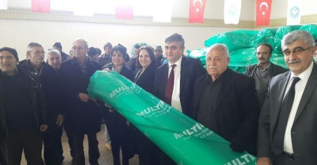 Manisa’da çilek kışın mevsiminde de yetiştirilecek