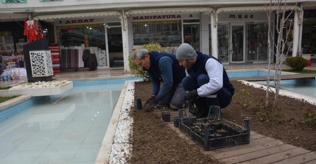 Havuzlu Çarşı bahara hazırlanıyor