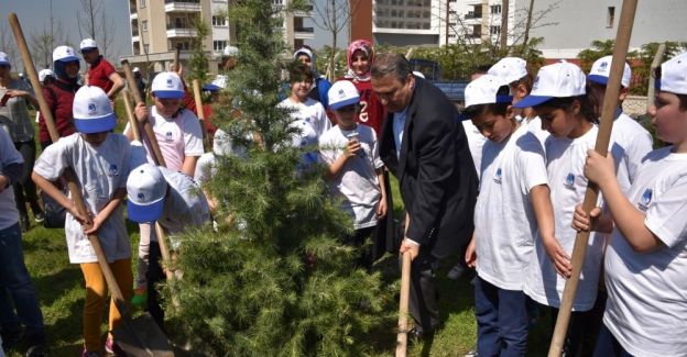 Başkan Çerçi minik bahçıvanlarla fidan dikti