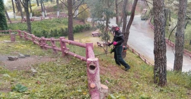 Alaşehir’de ilaçlama çalışmaları devam ediyor