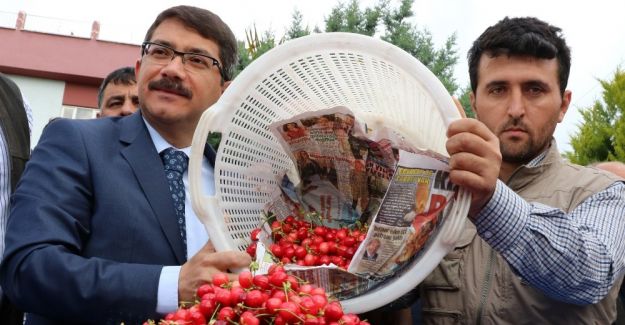 Sezonun ilk kirazı pazara çıktı