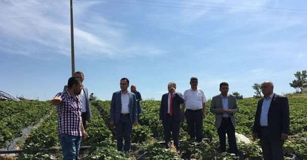 Badem işletme tesisine yerinde inceleme