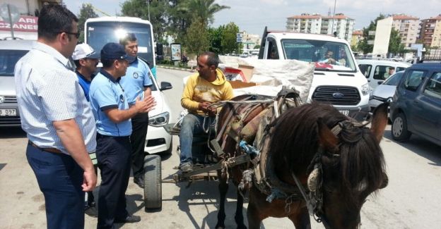 Trafiği tehlikeye atan at arabalarına zabıta ’dur’ dedi