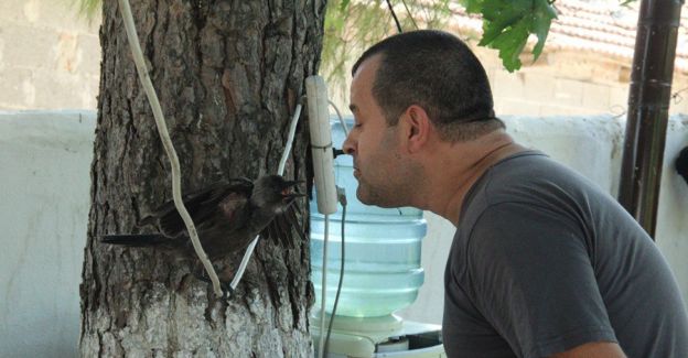 En iyi dostu karga oldu