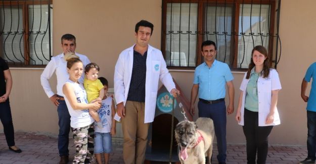 İşkenceye maruz kalan ’Masum’ yeni ailesine kavuştu