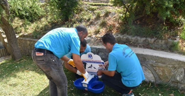 Manisa’da yaz aylarında sokak hayvanları unutulmadı