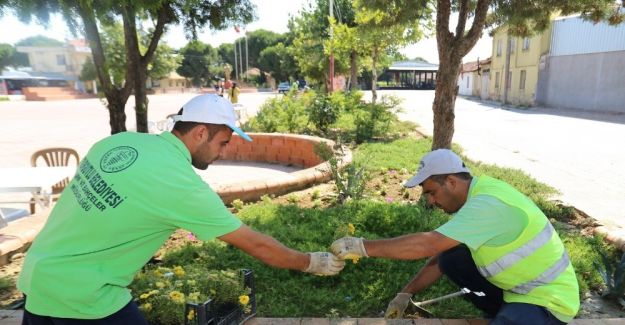 Urganlı meydanları çiçeklerde donatılıyor