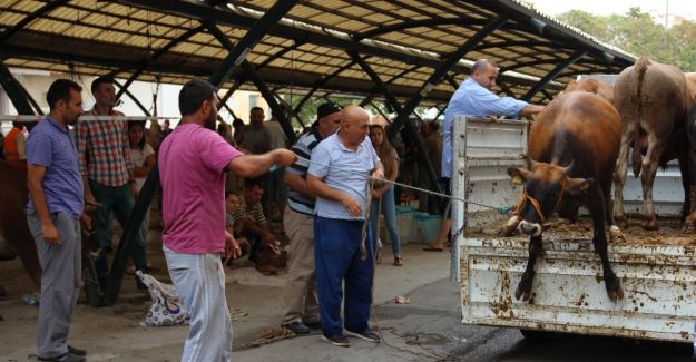 Kurbanda kurallara uymayanlara ceza yağacak