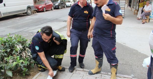 Manisa’da korkutan yangın