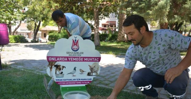 Şehzadeler’den sokak hayvanlar için duyarlılık örneği