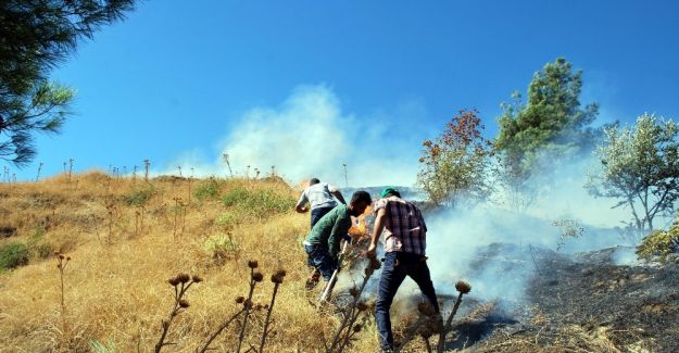 Ot yangını ormana sıçramadan söndürüldü