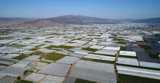 (Özel haber) Sarı altın beyaz gelinlik giydi