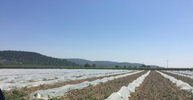 Tarımsal sulama tesisleri bakım onarımdan geçti