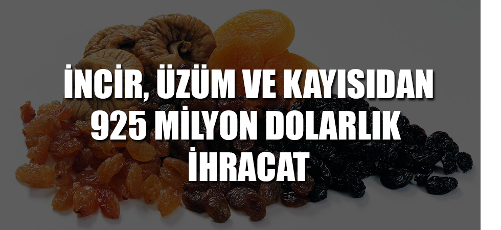 İncir, üzüm ve kayısıdan 925 milyon dolarlık ihracat