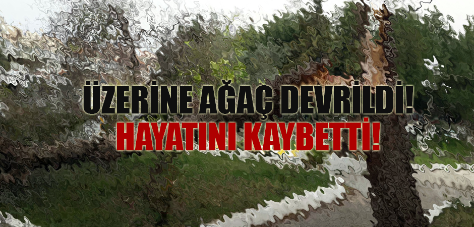 Üzerine Ağaç Devrilen Şahıs Hayatını Kaybetti!