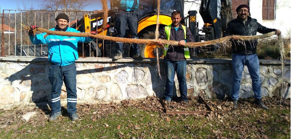 Manisa'da 5 Metrelik Ağaç Kökü Görenleri Şaşırttı