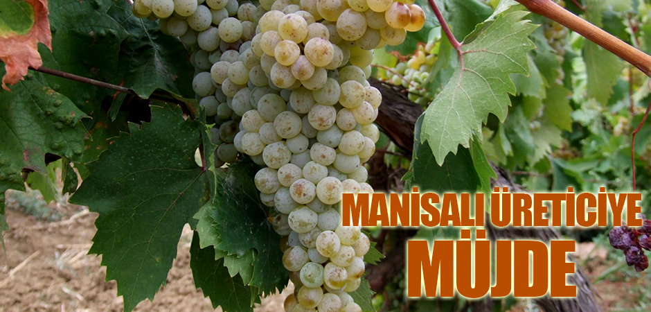 Manisalı Üreticiye Müjde