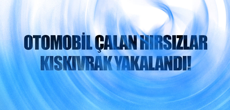 Otomobil hırsızları jandarma tarafından yakalandı