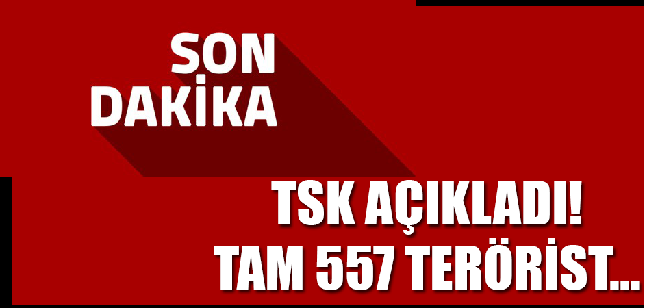 TSK AÇIKLADI! TAM 557 TERÖRİST...