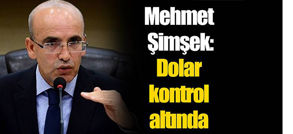 Başbakan Yardımcısı Şimşek: 'Dolar kontrol altında'