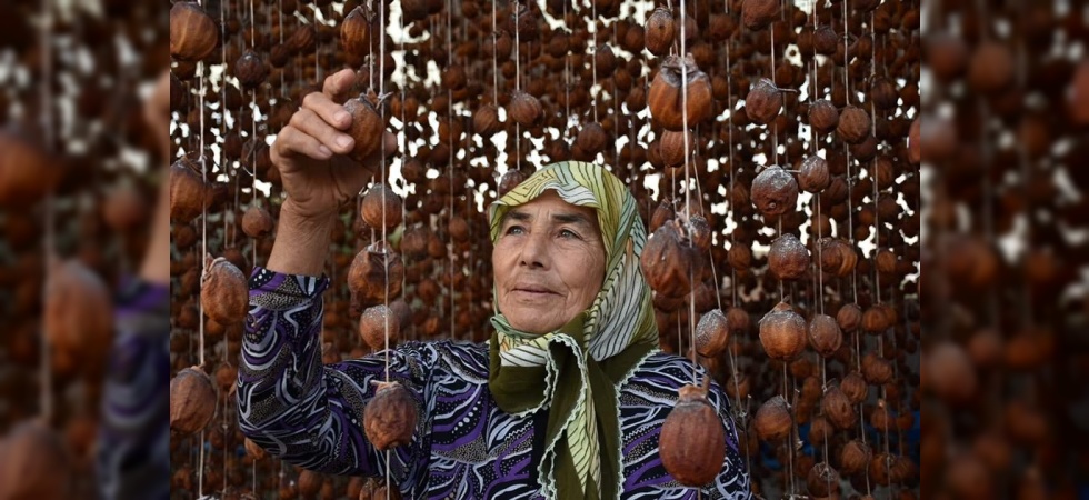 MAFOD, Alaşehir'i fotoğrafladı