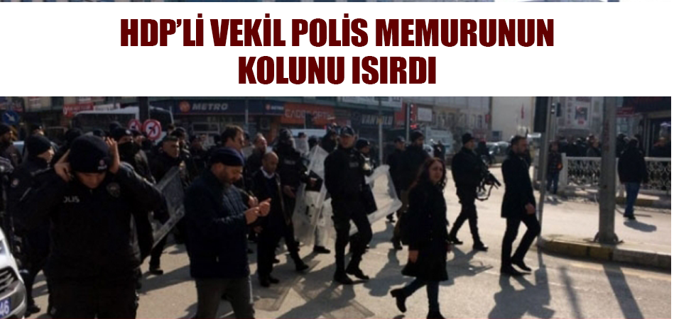 HDP’li vekil polis memurunun kolunu ısırdı