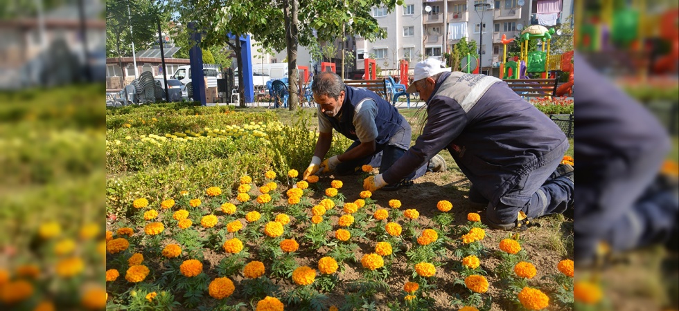 Şehzadeler 157 bin çiçekle renkleniyor