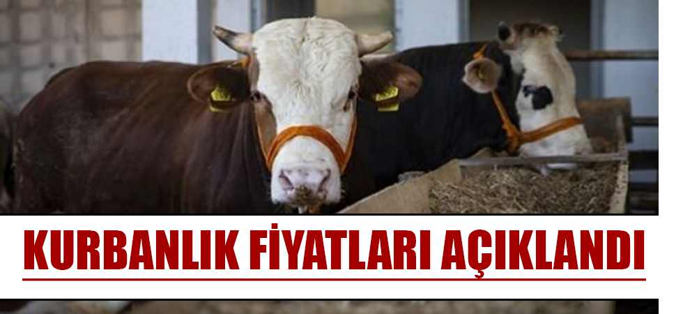 Kurbanlık fiyatları açıklandı