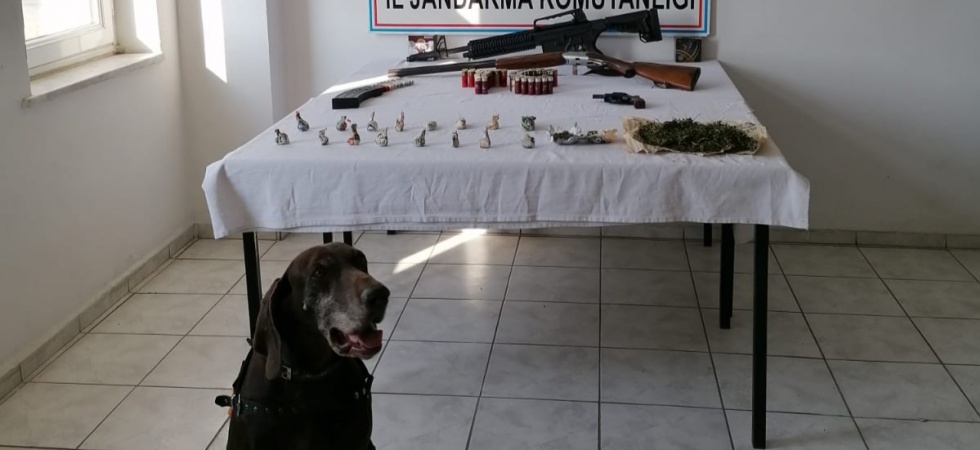 Jandarmadan narko köpekli uyuşturucu operasyonu: 5 gözaltı