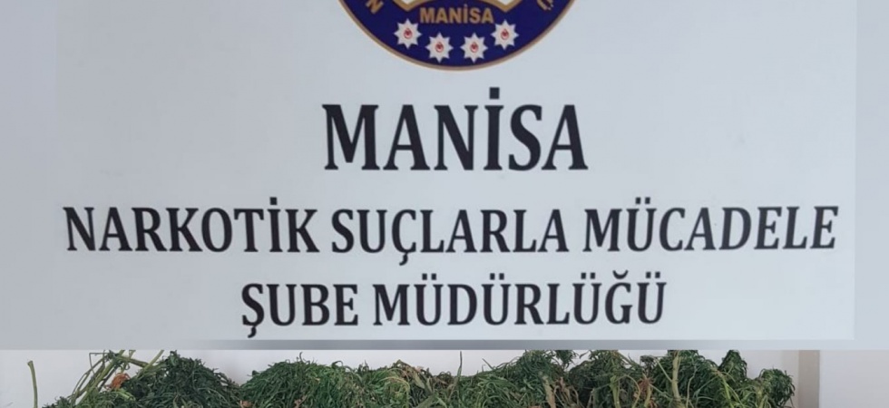 Manisa’da 23 kilo esrar ele geçirildi