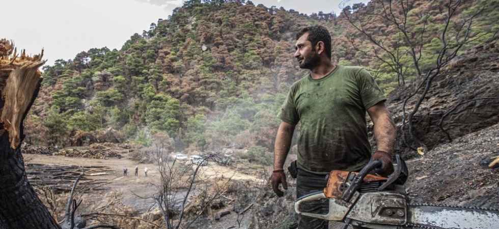 Ahmetli’deki orman yangının izleri siliniyor