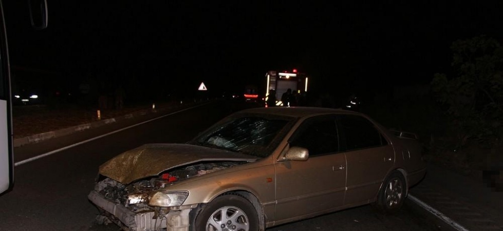 Otomobiller karayolundaki koyun sürüsüne daldı; 7 yaralı