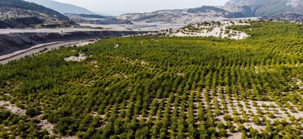 Manisa’da ’Sıfır Atık Projesi’ 6 bin ağacın kesilmesini önledi