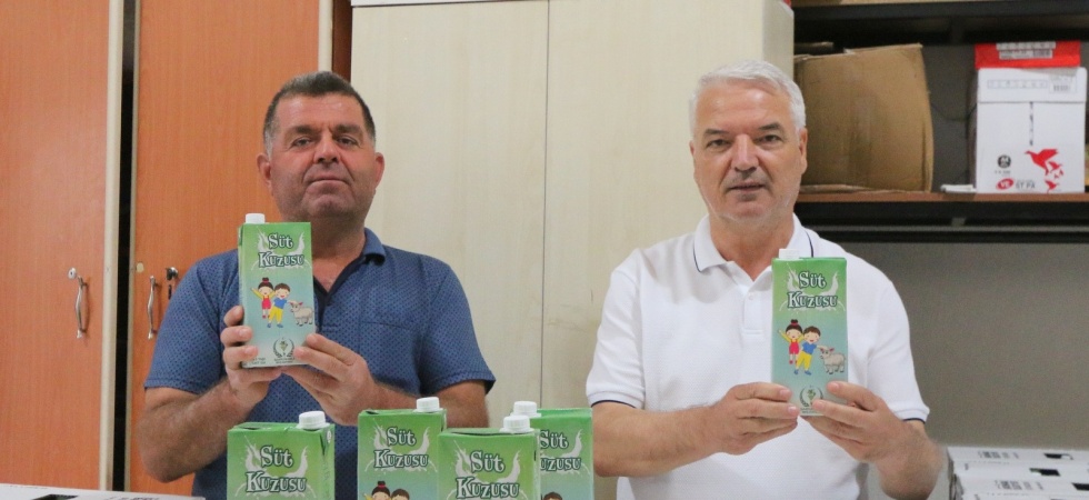 Saruhanlı Belediyesinin ’Süt Kuzusu’ Projesi başladı