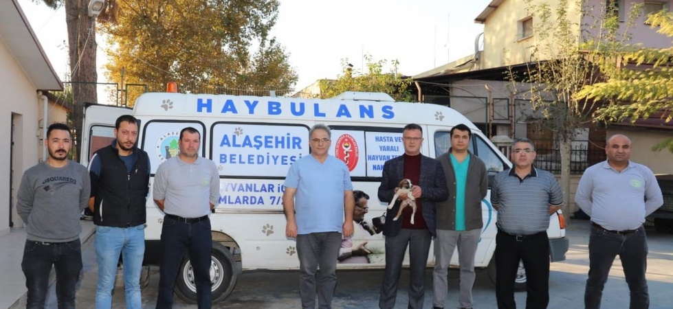 Alaşehir Belediyesinden sokak hayvanları için ’Haybulans’ hizmeti