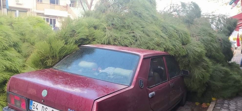 Alaşehir’de fırtına çam ağacını otomobilin üzerine devirdi
