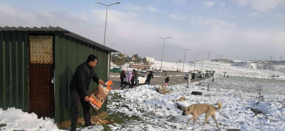 Alaşehir Belediyesi sokak ve yaban hayvanlarına yiyecek bıraktı
