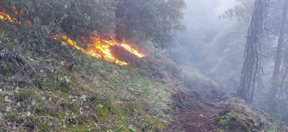 Manisa’da 30 dekar karaçam ormanı yandı